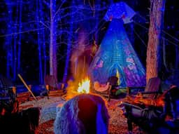 Enchanted Forest