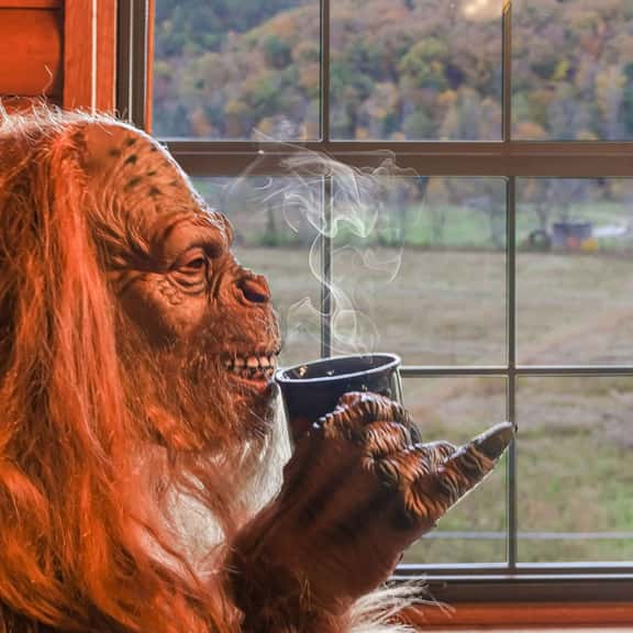 Bigfoot's Hideaway - Image 1
