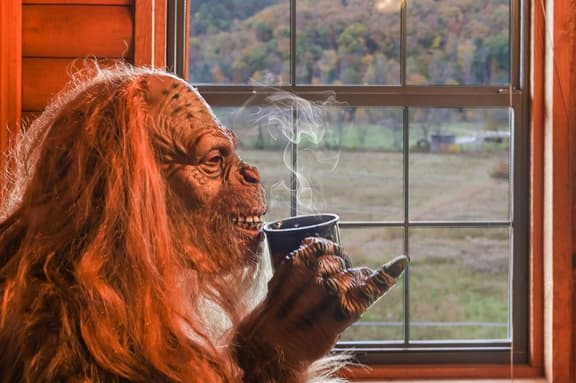 Bigfoot's Hideaway